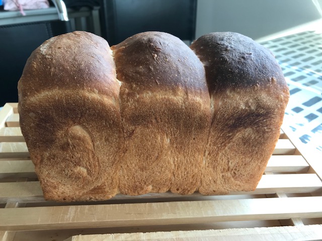 アルタイトの食パン型（1.5斤）で食パン作り始めました！〜プルマンへの道〜 – Life-pot